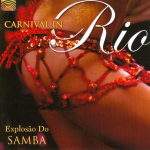 Hino Rubro Negro / Hino do Flamengo / Joga a Chave Meu Amor / Colombina Ye, Ye, Ye / Pais Tropical / Tem Nego Bebo Ai / Turma do Funil