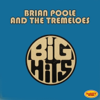Brian Poole & The Tremeloes - Do You Love Me artwork