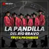 La Pandilla del Rio Bravo - Amarte Es un Castigo