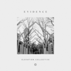 Evidence - Elevation Collective