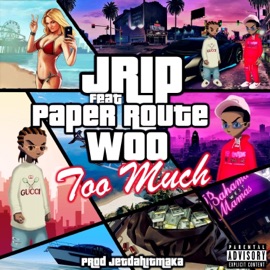Too Much (feat. PaperRoute Woo) Jrip