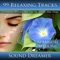 Spiritual - 20 Minute Session - Sound Dreamer lyrics