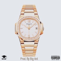 Patek - Single - Frame James