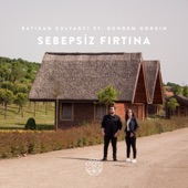 Sebepsiz Fırtına (feat. Gundem Gorgin) artwork