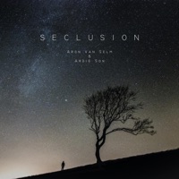 Seclusion (feat. Ardie Son) - Single - Aron van Selm