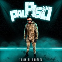 Pal Piso - Single - Turin el profeta
