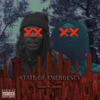 State of Emergency (feat. Smitty) - Single - Ayent