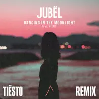 DANCING IN THE MOONLIGHT