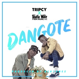 Dangote (feat. Shatta Wale) Tripcy