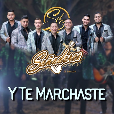 Y Te Marchaste - Single