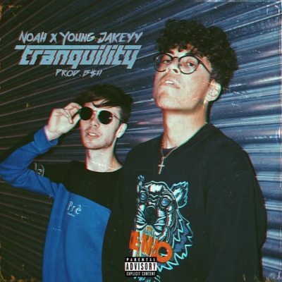 Tranquility - Single