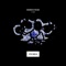 Children of the Wild (feat. Mako) - Steve Angello lyrics