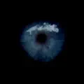 The Silver Apples of the Moon