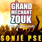 Le grand méchant zouk : Sonjé PSE (Live) artwork