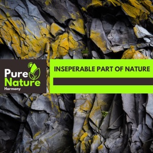 Inseperable Part of Nature