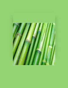 Ascolta Panda, guarda video musicali, leggi la biografia, vedi le date del tour & altro!