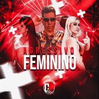 Agressivo Feminino - Single - Igor vilão, Mc Lorrany & MC Erikah