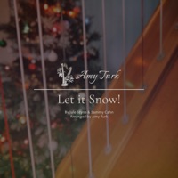 Let It Snow! Let It Snow! Let It Snow! - Single - Amy Turk