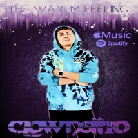 The Way I'm Feeling - Single