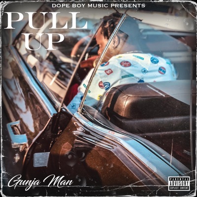 Pull Up - Single