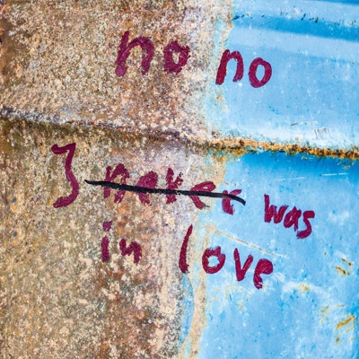 No, No, I Never Was in Love