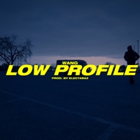 Low Profile - Single - Wang & Electabaz