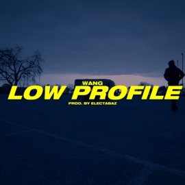 Low Profile Wang & Electabaz
