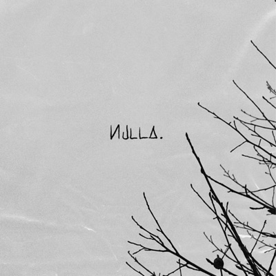 nulla (feat. Nvmb**17) - Single