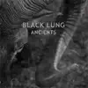 Black Lung - Mother of the Sun