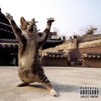 Kung Fu - Single - Mouce