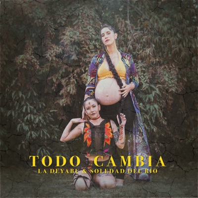 Todo Cambia (Re-Versión) - Single