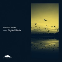 Flight of Birds - Single - Alessio Serra