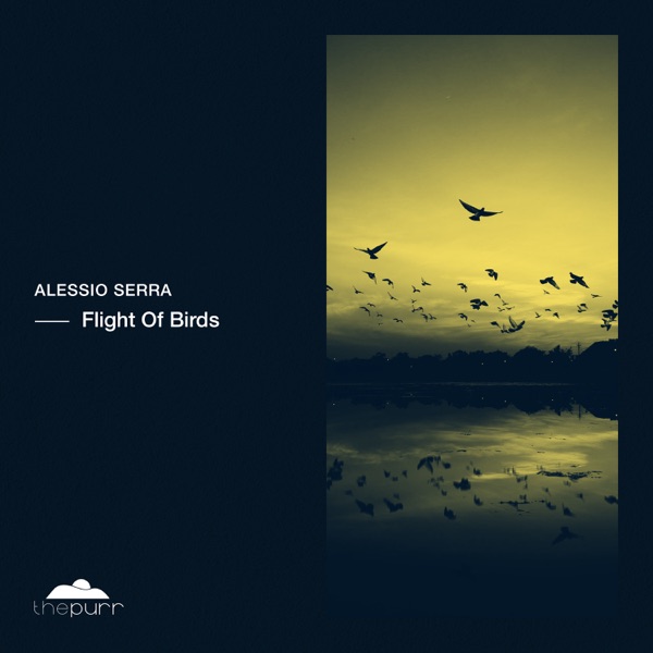 Flight of Birds - Single