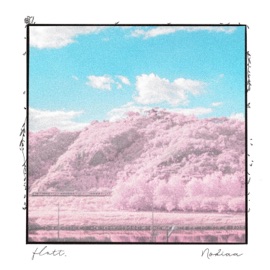 Blossom Nokiaa & Flott.