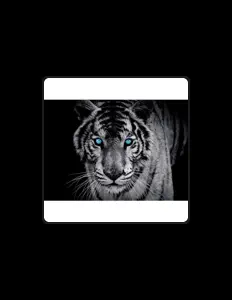 Ouça J Espeso, assista a videoclipes, leia a biografia, veja as datas das turnês e mais!