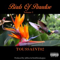Birds of Paradise Volume 1 - EP - Toussaint02