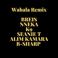 Wahala (feat. Nneka, K9, Seanie T, B-Sharp & Alim Kamara) [Remix] - Single - Breis