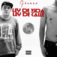 Ley de Vida Ley de Calle - Gramex