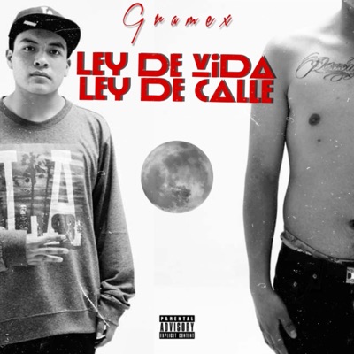 Ley de Vida Ley de Calle