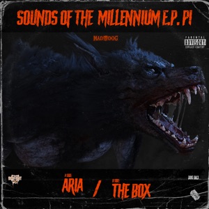 Sounds of the Millennium P.1 - Single