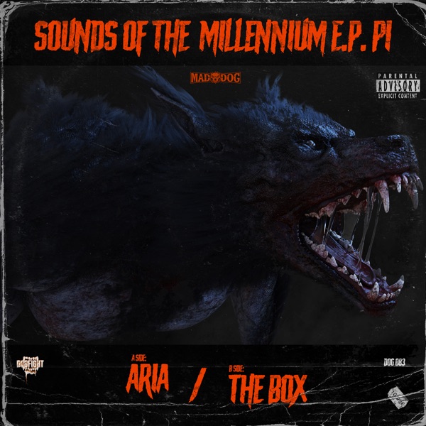 Sounds of the Millennium P.1 - Single