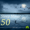 Sleep Music 50 - Relaxing Songs to help you Relax and Calm your Mind - Quiet Music Academy & Meditation Spa