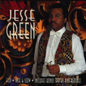 Nice and Slow (Traditional Mix) song art