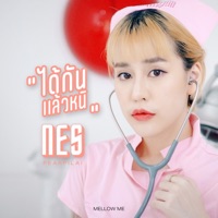ได้กันแล้วหนิ - Single - เนส แพรพิไล