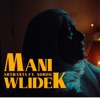 Mani Wlidek - Single (feat. Nordo) - Single