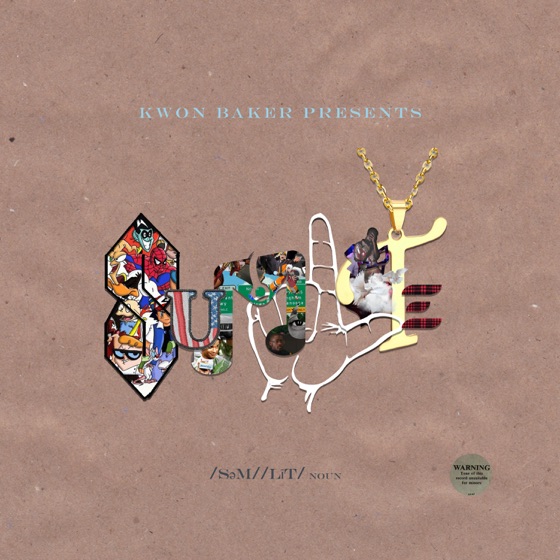 Cover artwork for The Flip