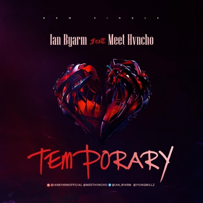 Temporary (feat. Meet Hvncho) - Single