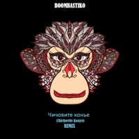 Chichovite Konye (feat. Marina Satti) [remix] - Single - Boombastiko