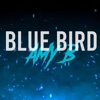 Blue Bird: Naruto Shippuden (feat. Jack Bailey)