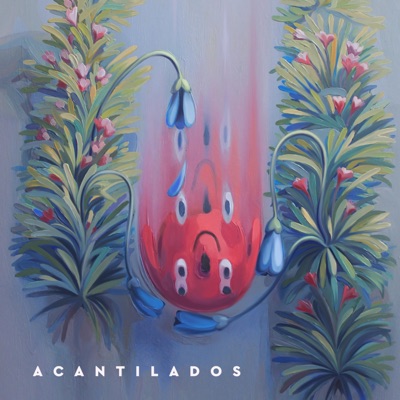 Acantilados